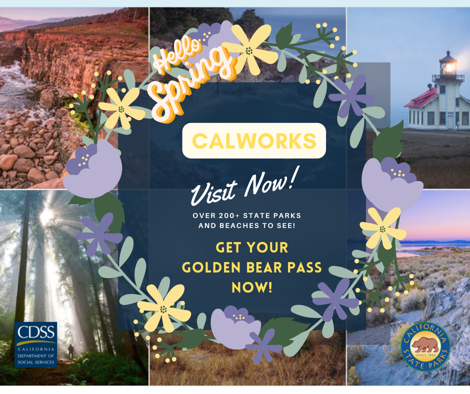 Golden Bear Pass with Spring Flowers